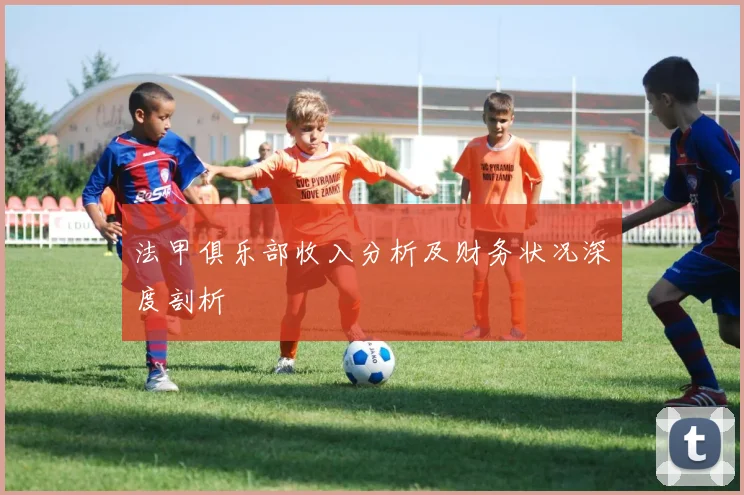法甲俱乐部收入分析及财务状况深度剖析