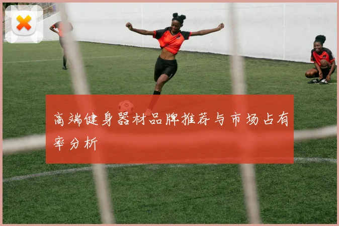 高端健身器材品牌推荐与市场占有率分析