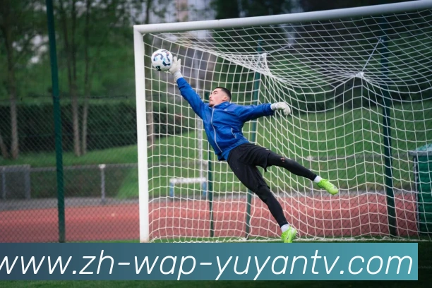 雨燕直播全站App 雨燕直播全站App